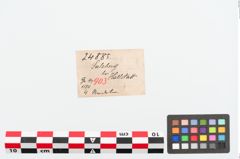Etiketten zu Bronzekugelkopfnadel (NHMW-PRAE-024885)